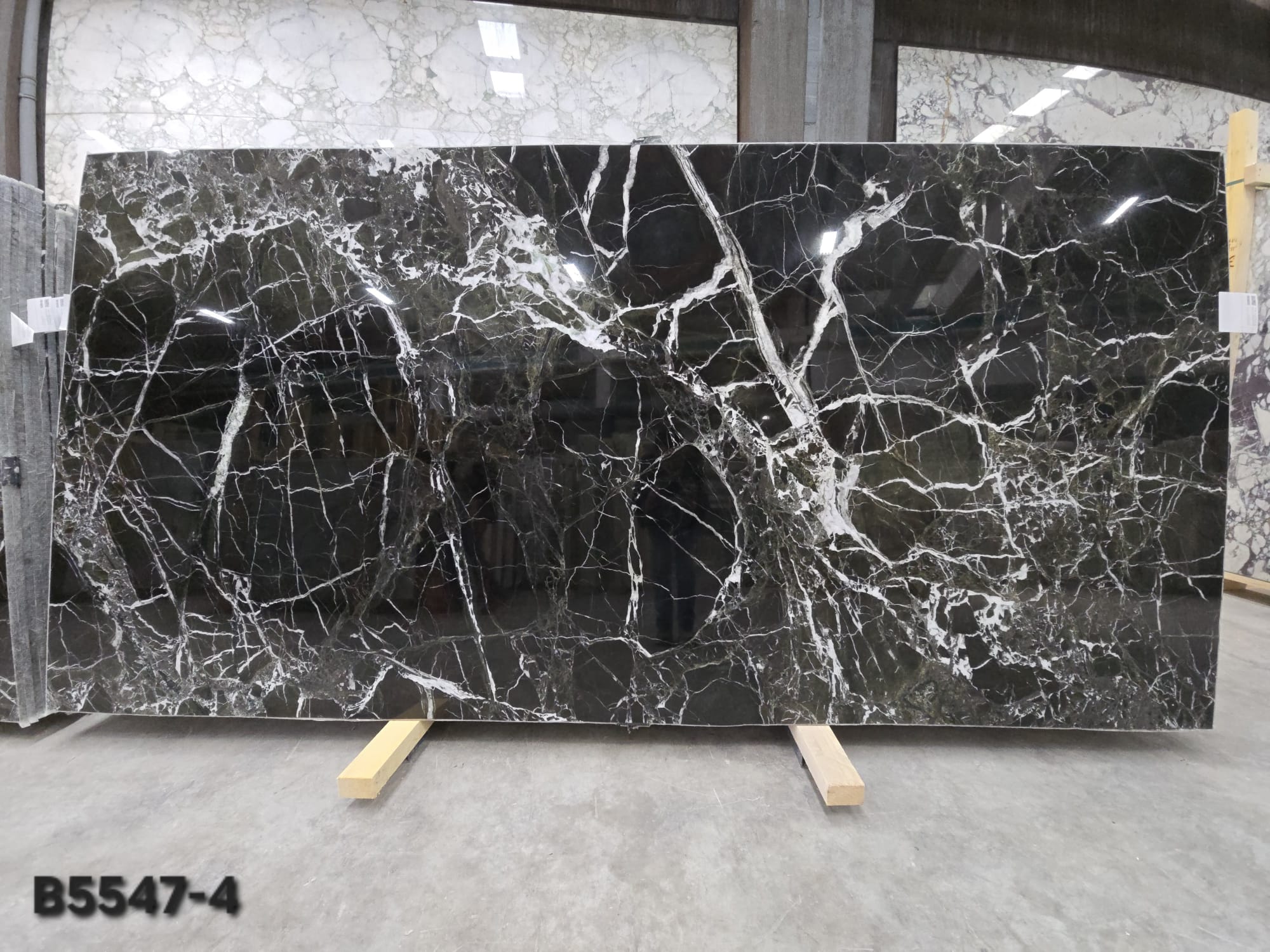 Cm Verde Levanto Polished Slabs