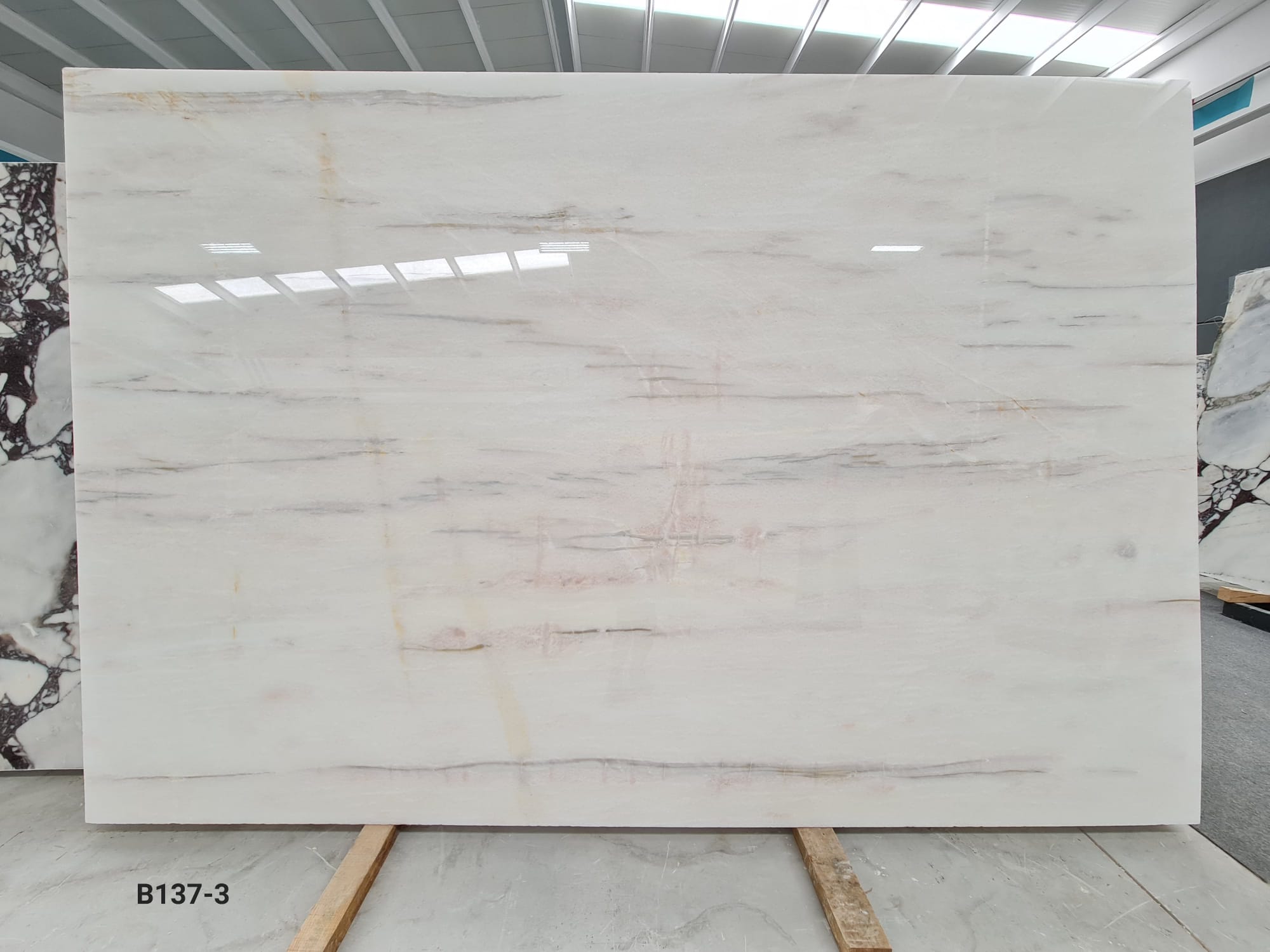 Flamingo White Polished Slabs