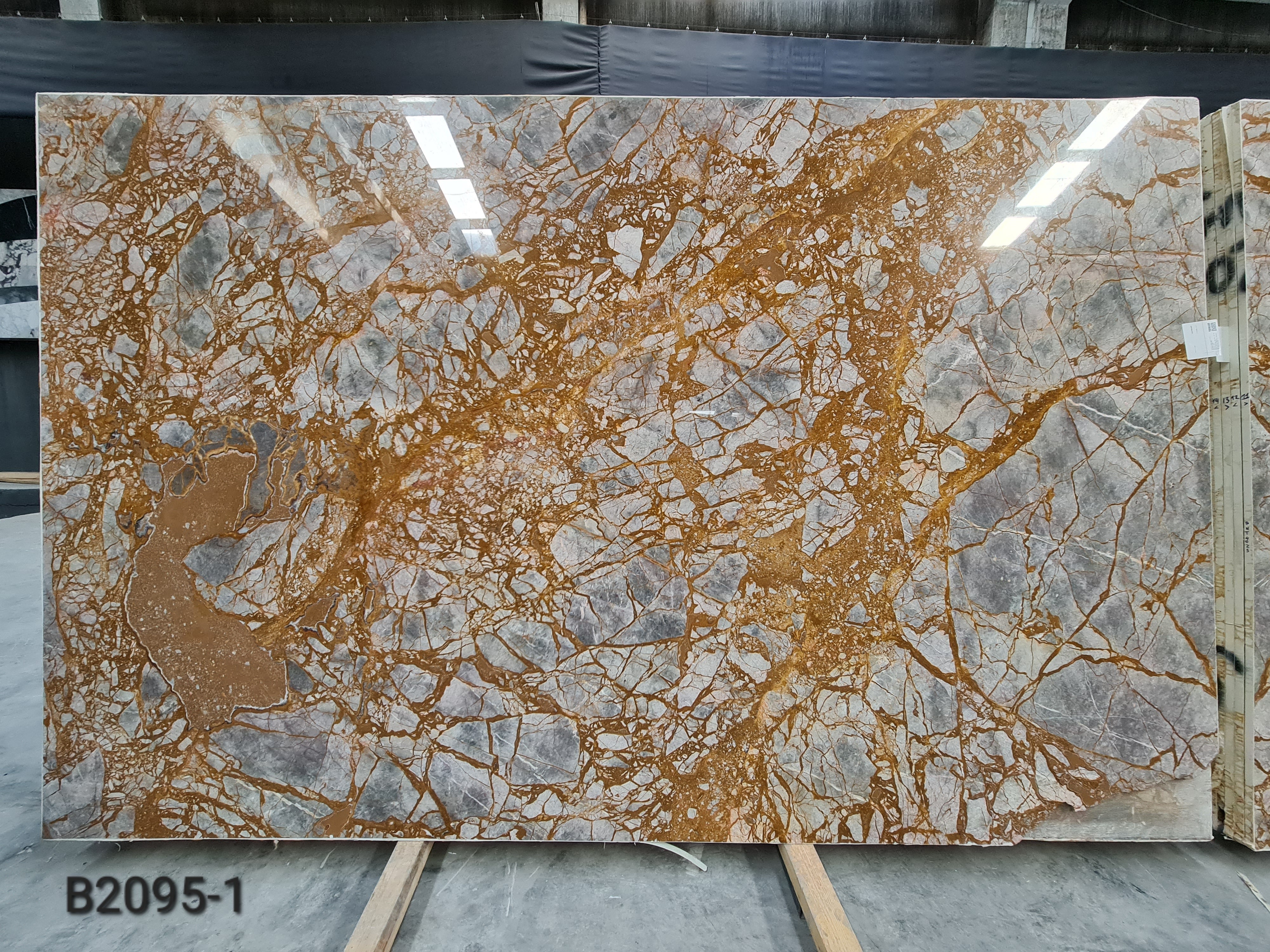 Galapogos Polished Slabs