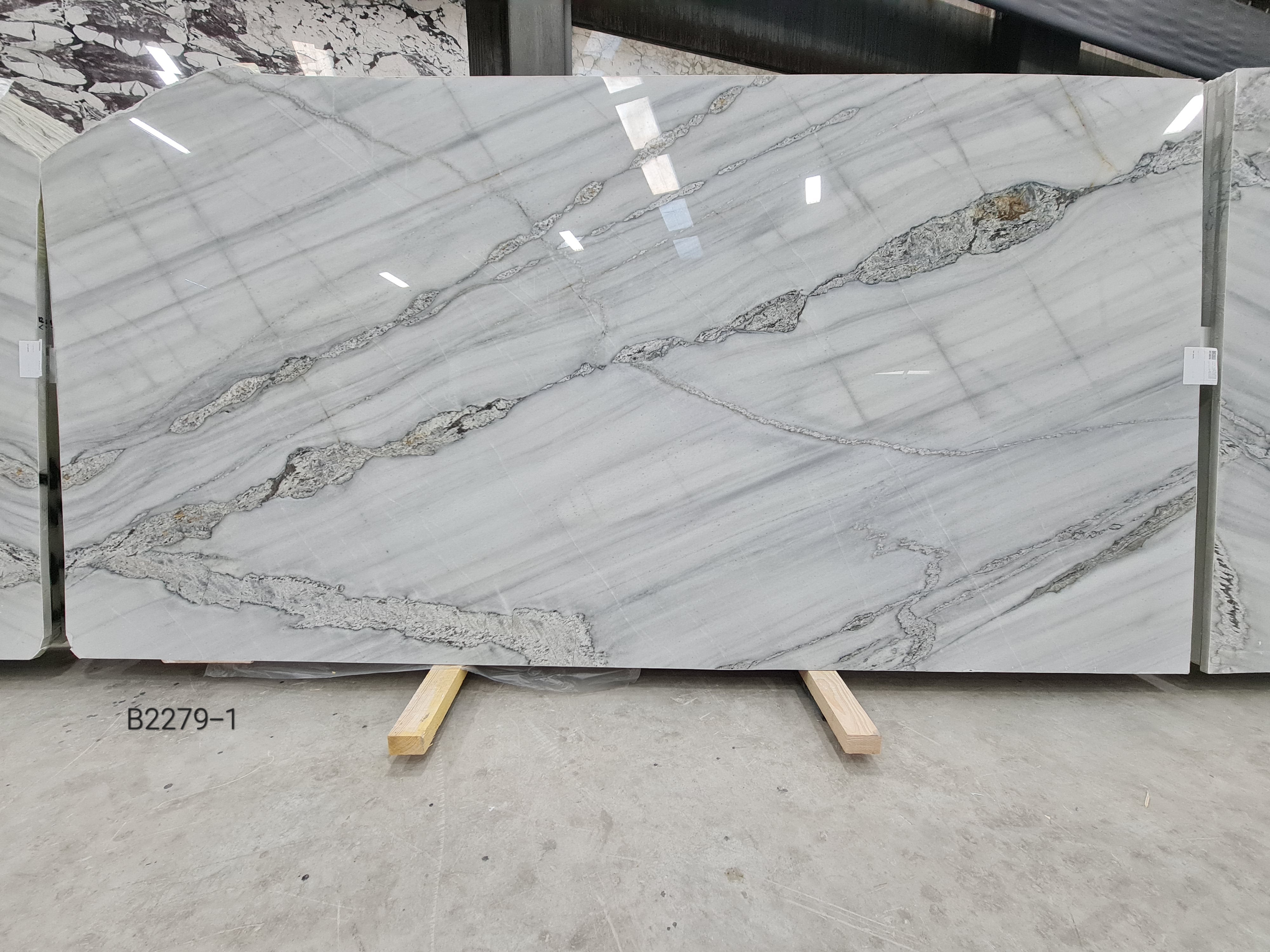 Platinum White polished slab