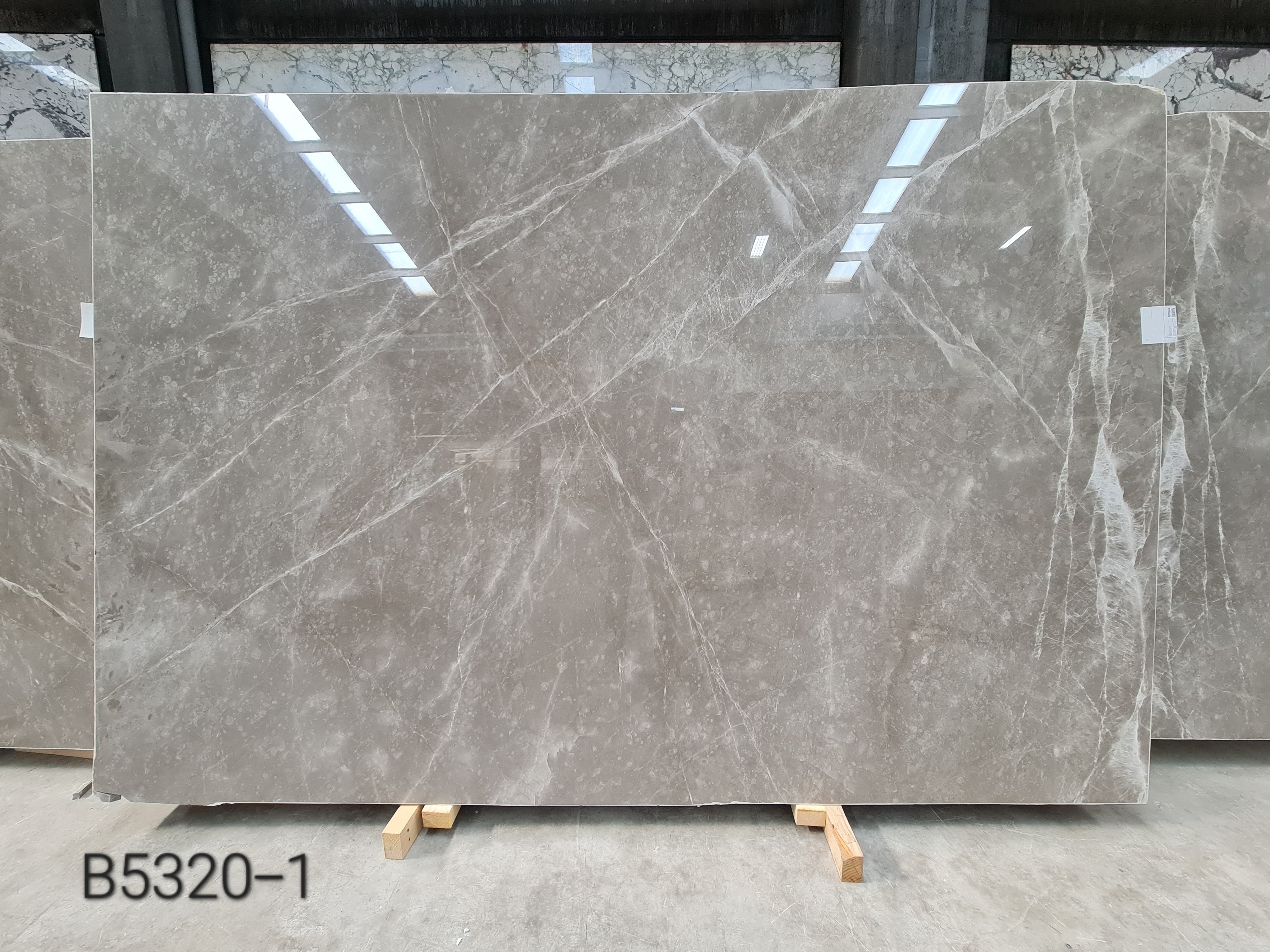 Tempus Grey polished slab