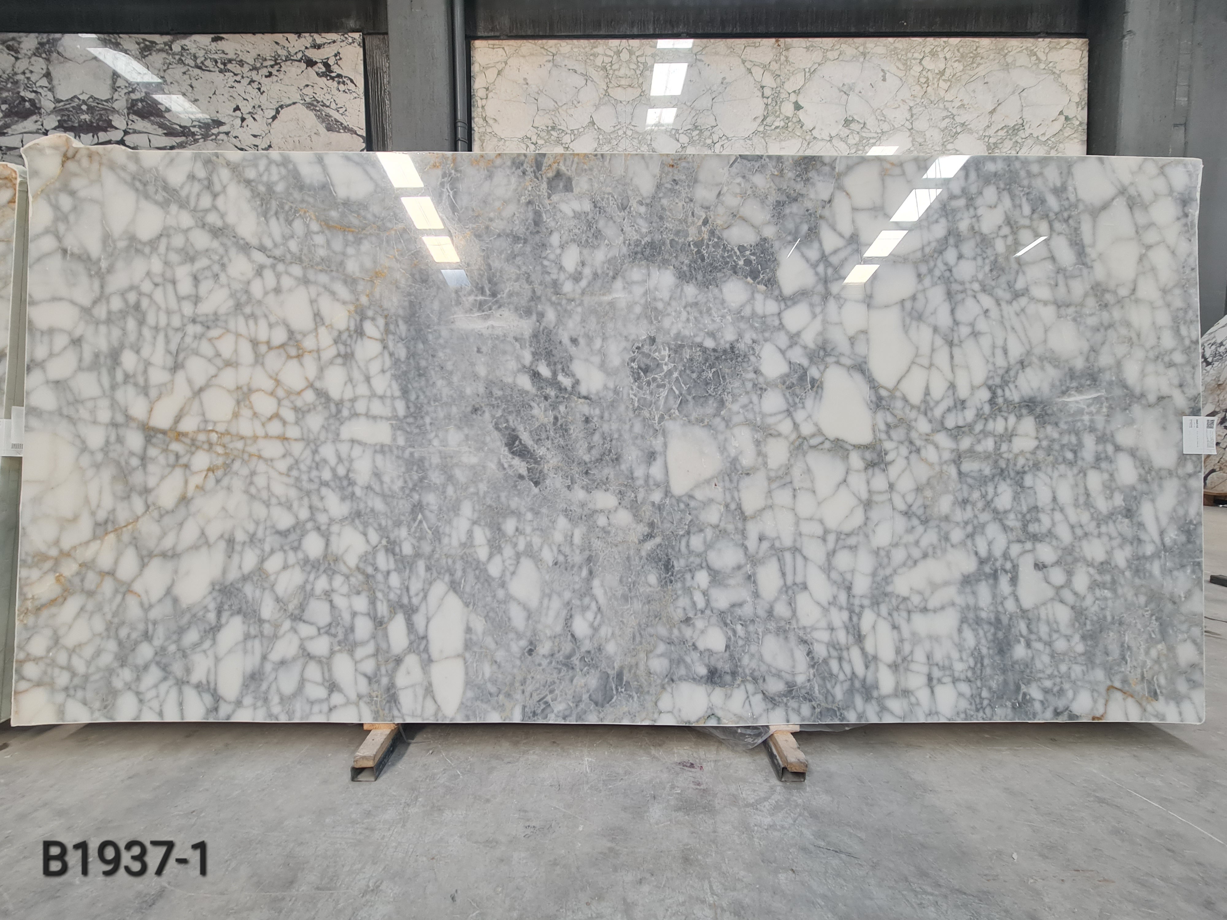 Bianco Venato polished block 2