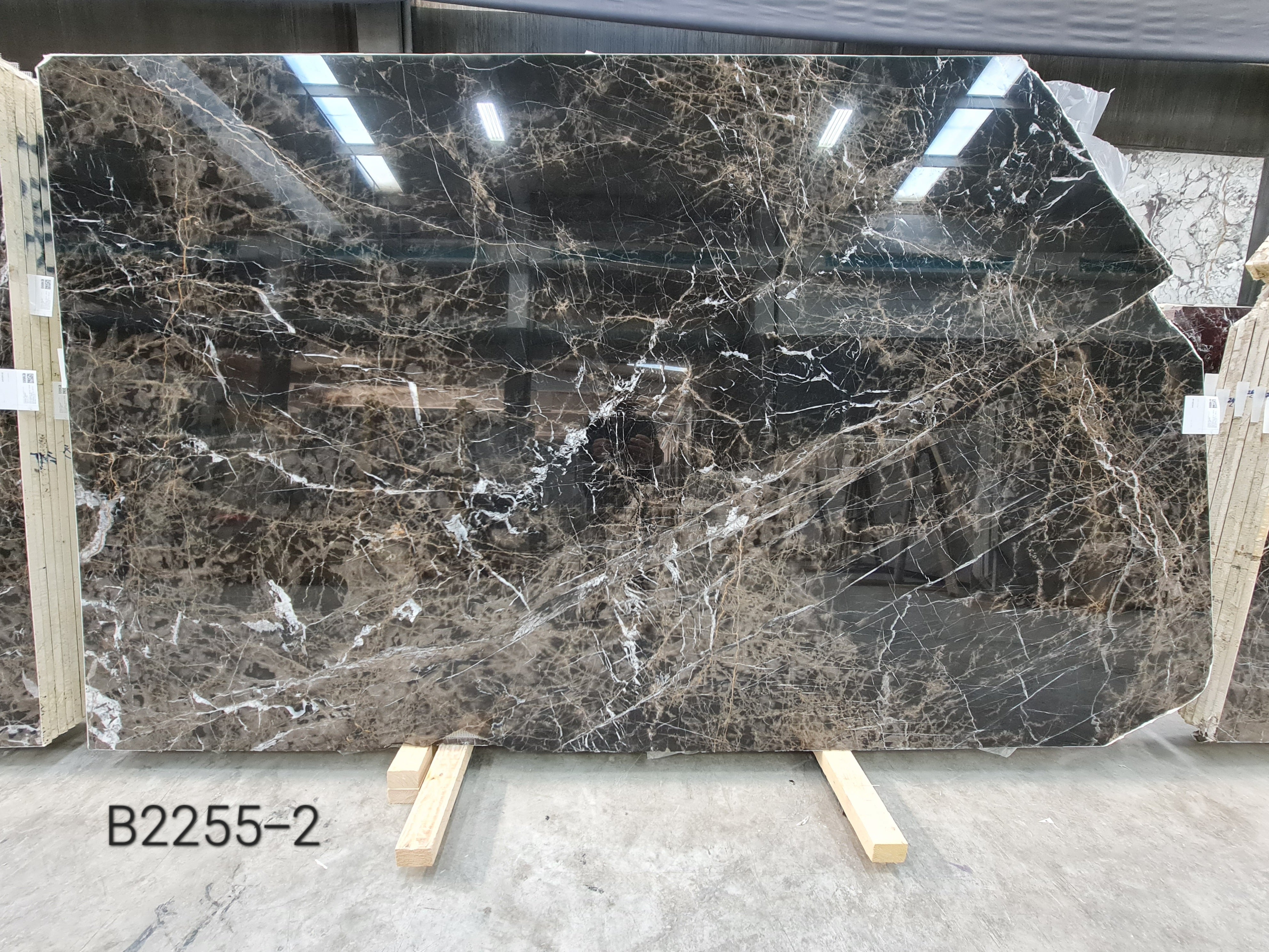 Bruno Perla polished slab