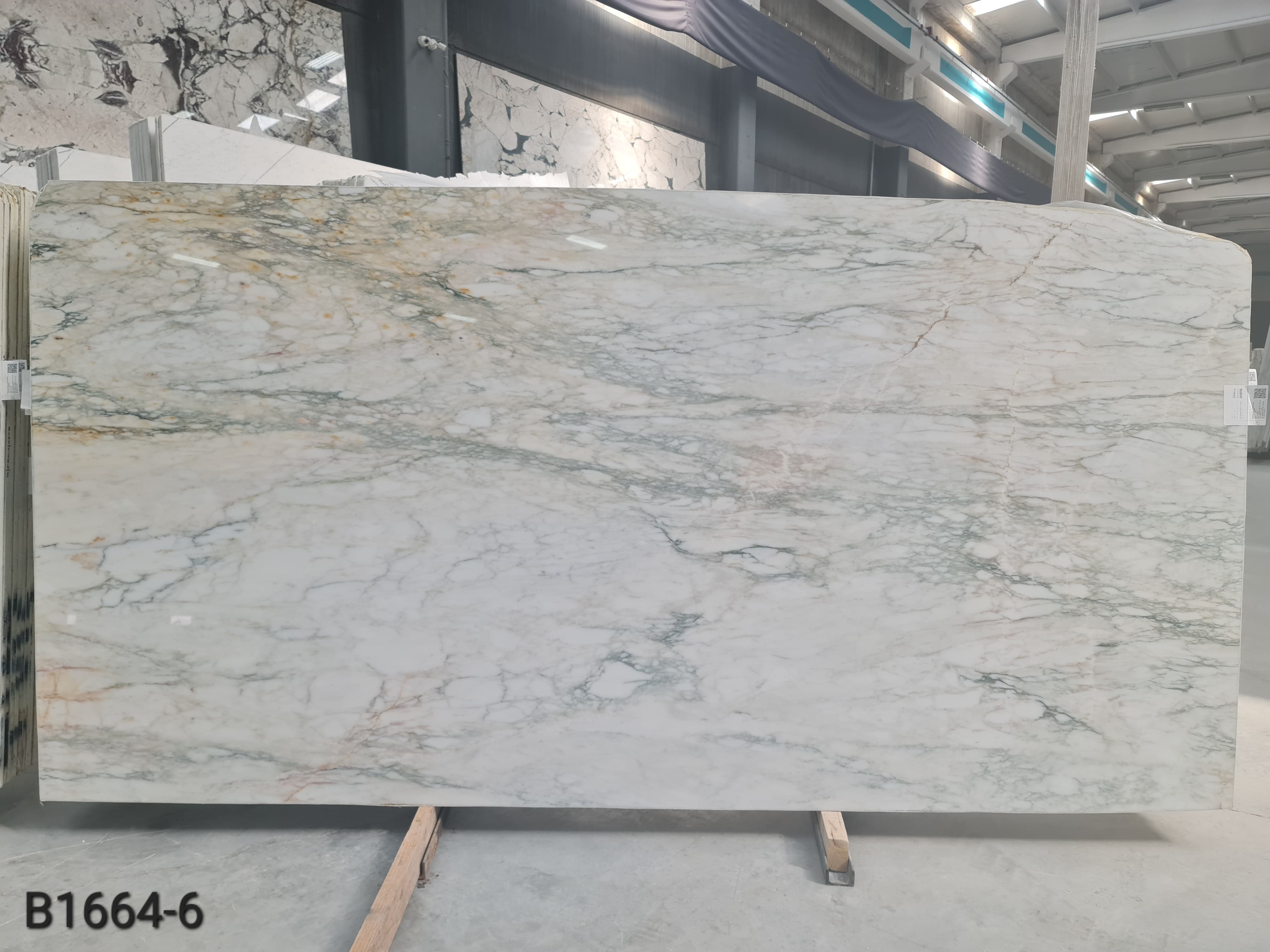 Calacatta Caldia polished slab