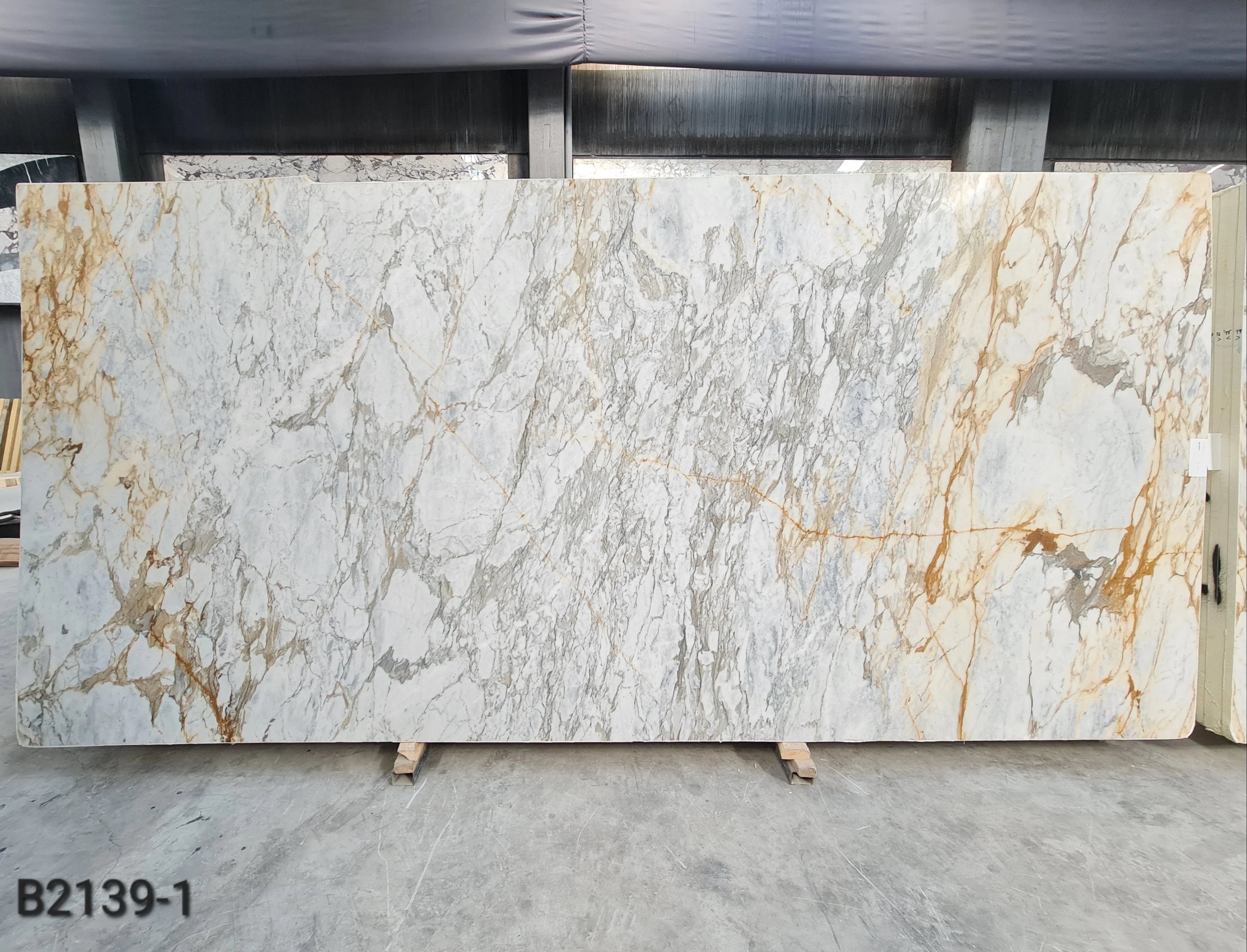 Calacatta Gold Honed Slabs