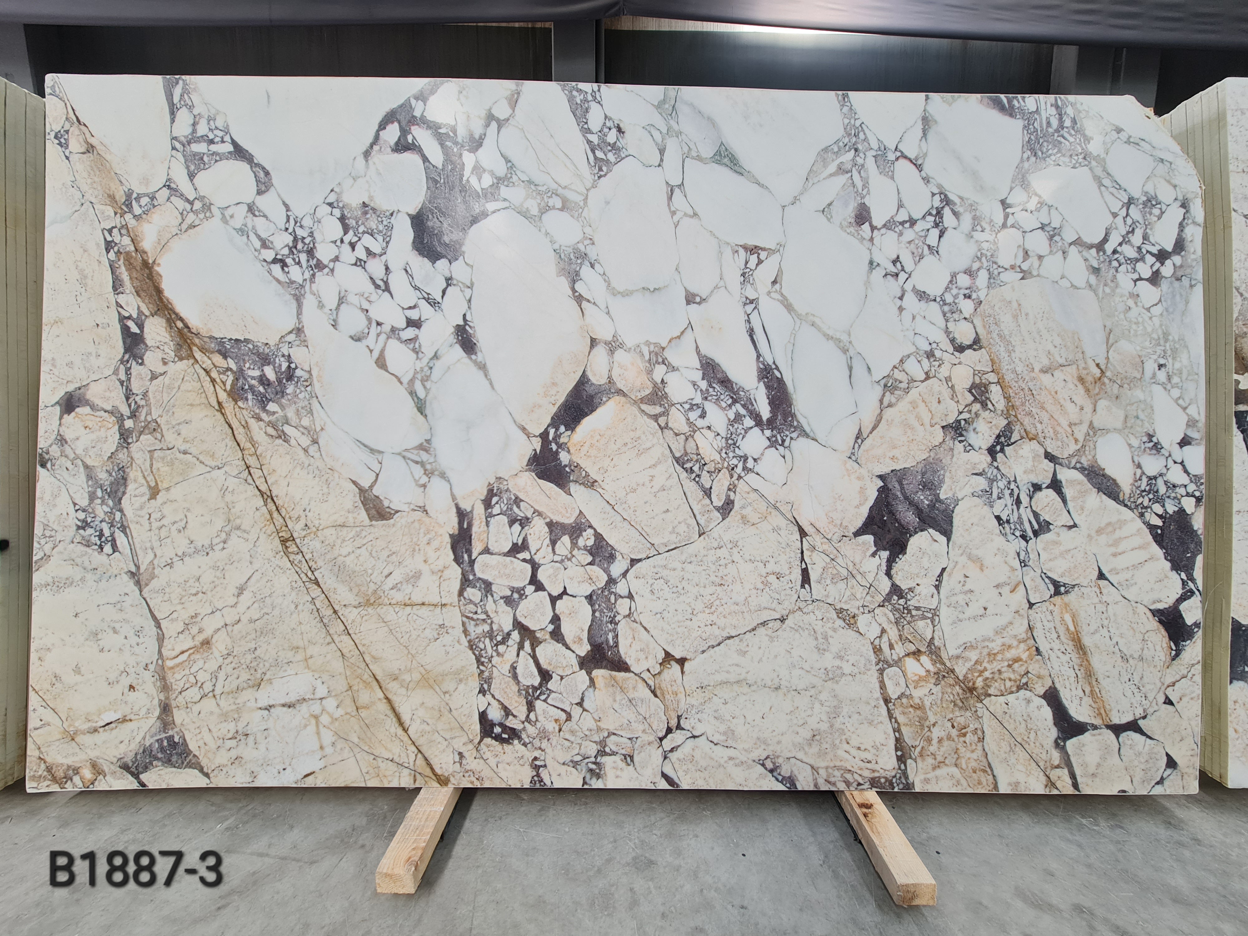 Calacatta Viola Gold honed slab
