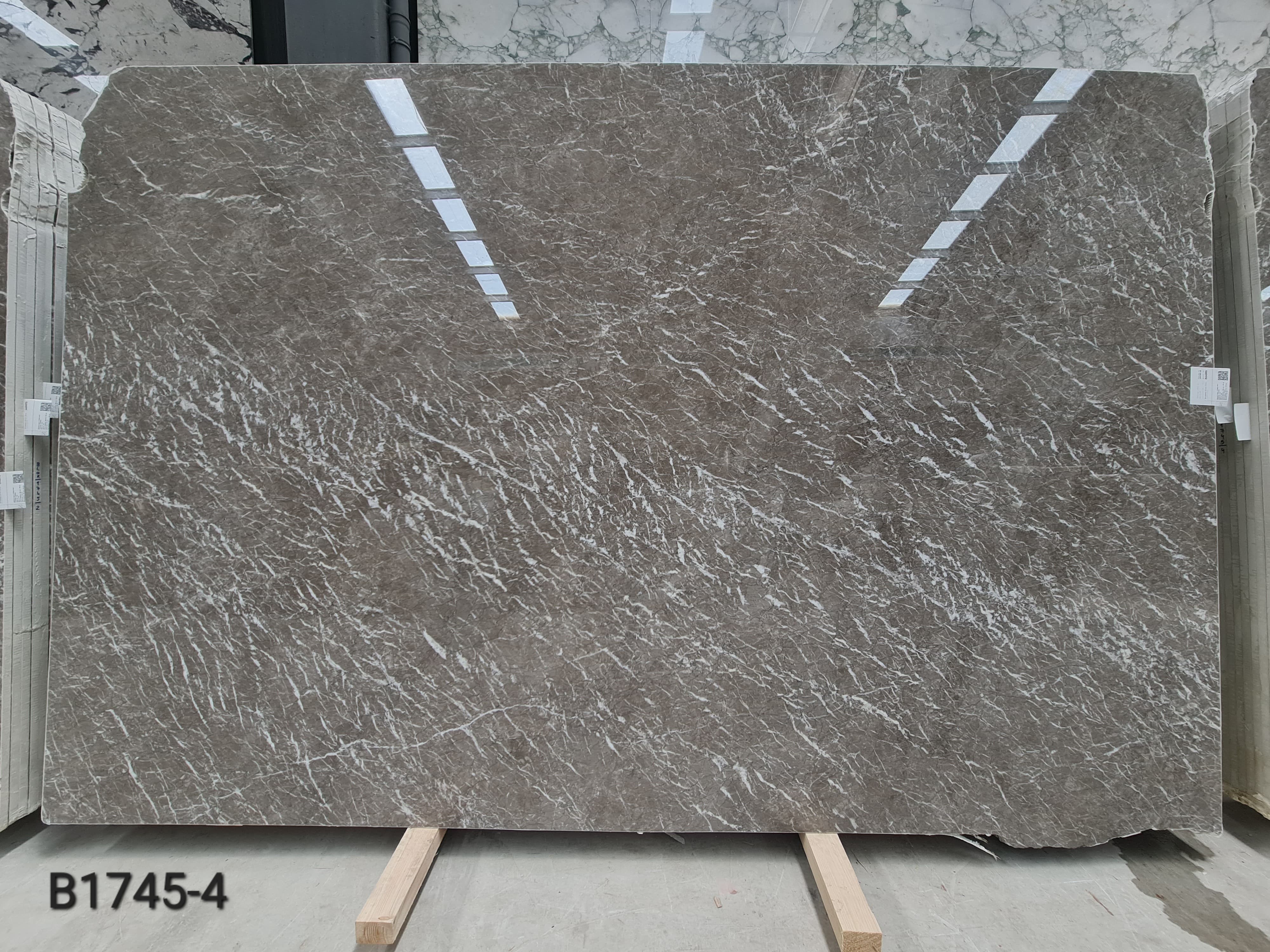 Cm Cyprus Grey polished slab