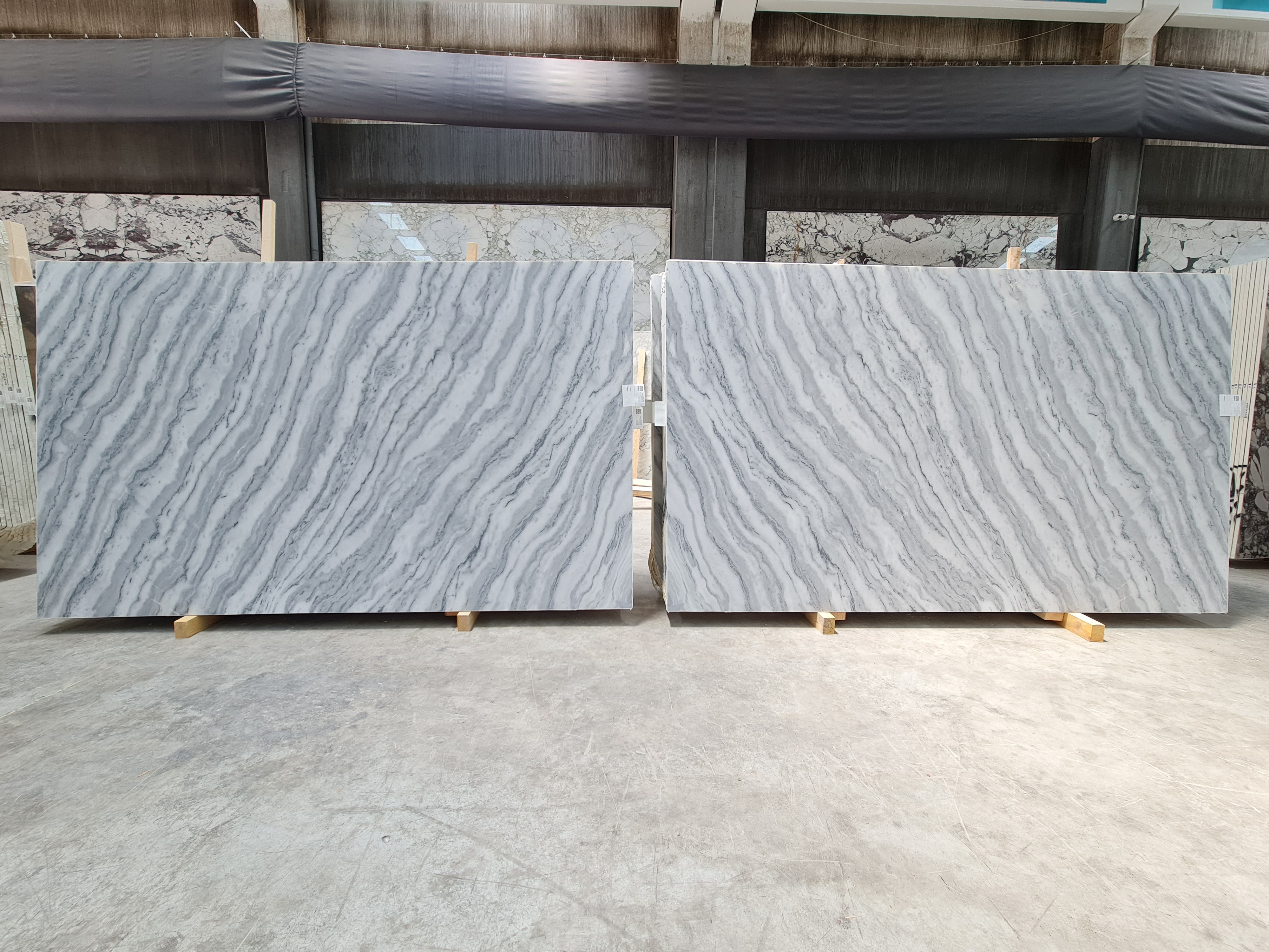 Fusion White honed slab