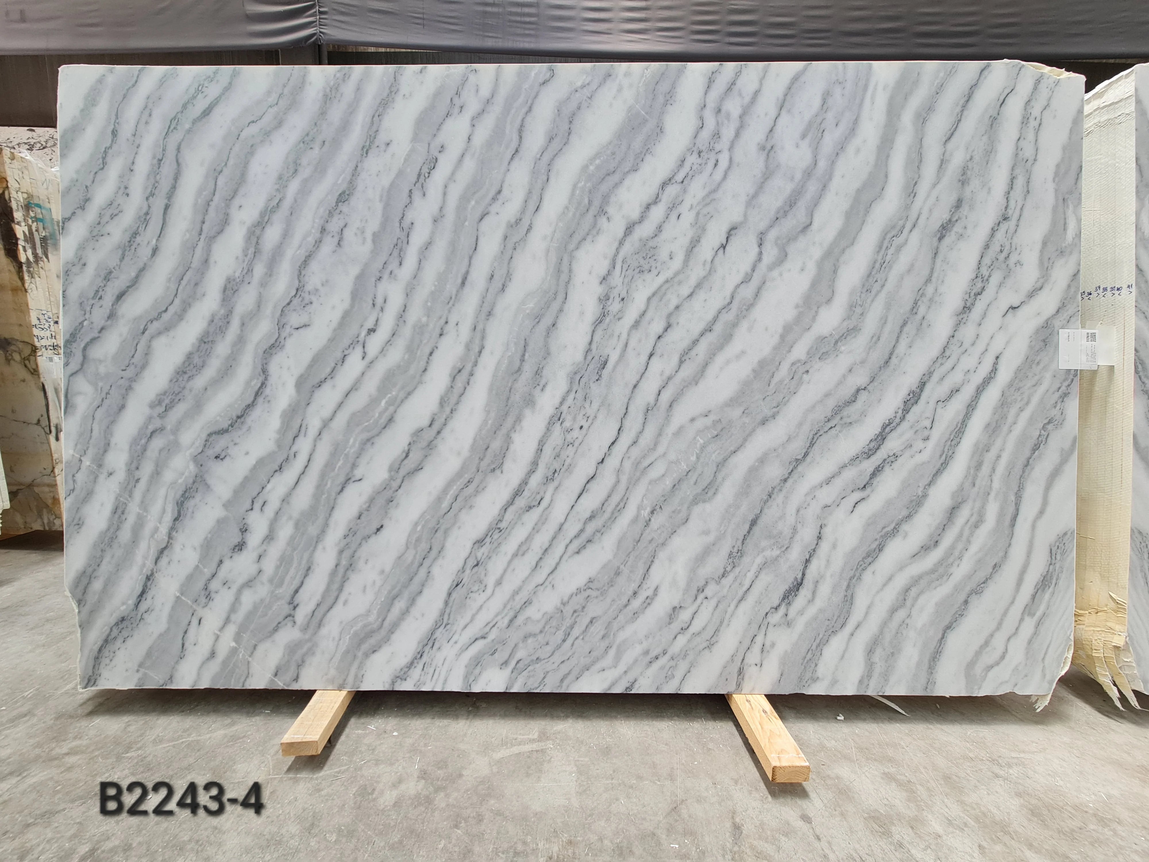 Fusion White Honed Slabs