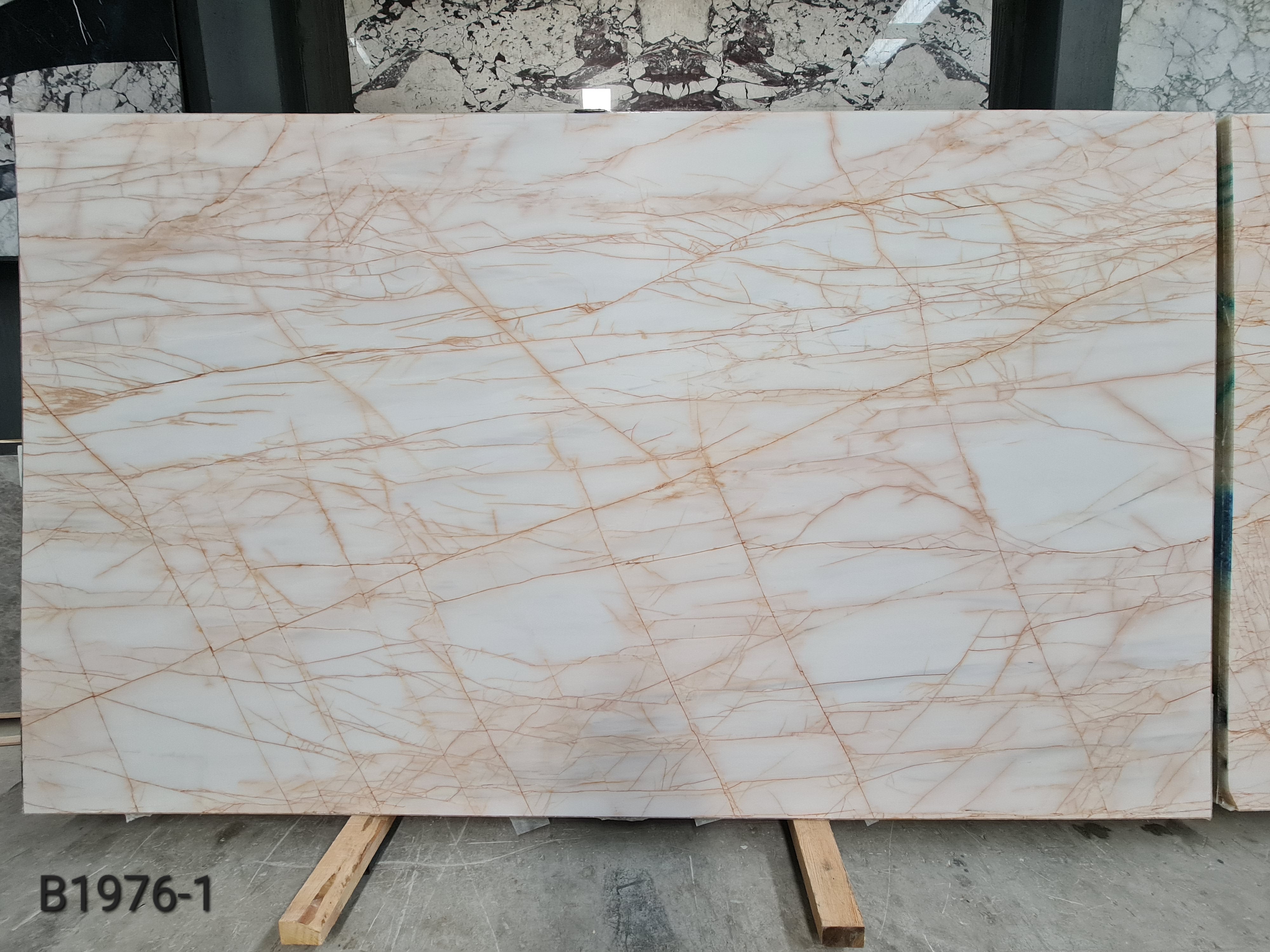 Golden Spider Dolomite honed slab