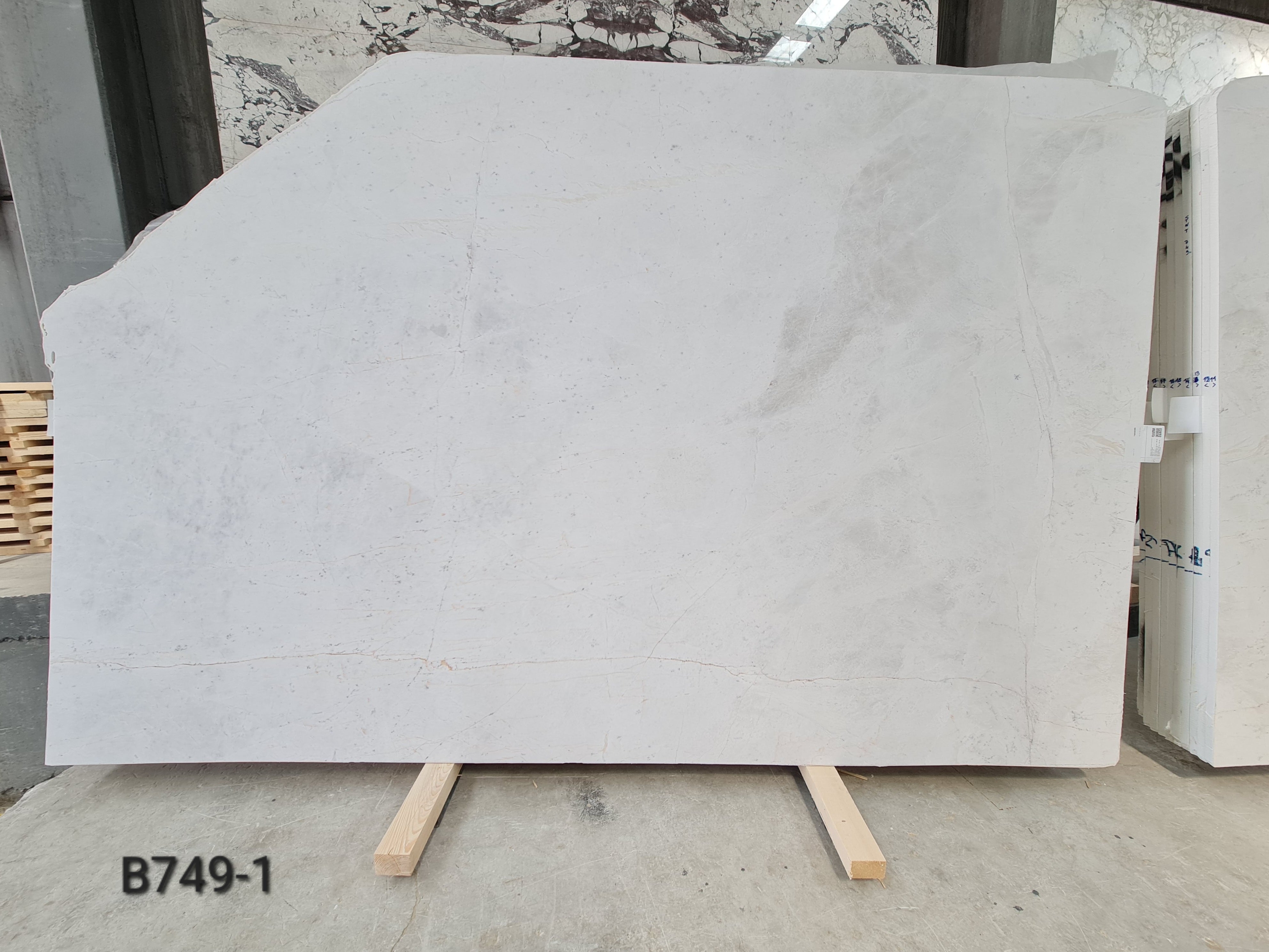 Iceberg Dolomite honed slab