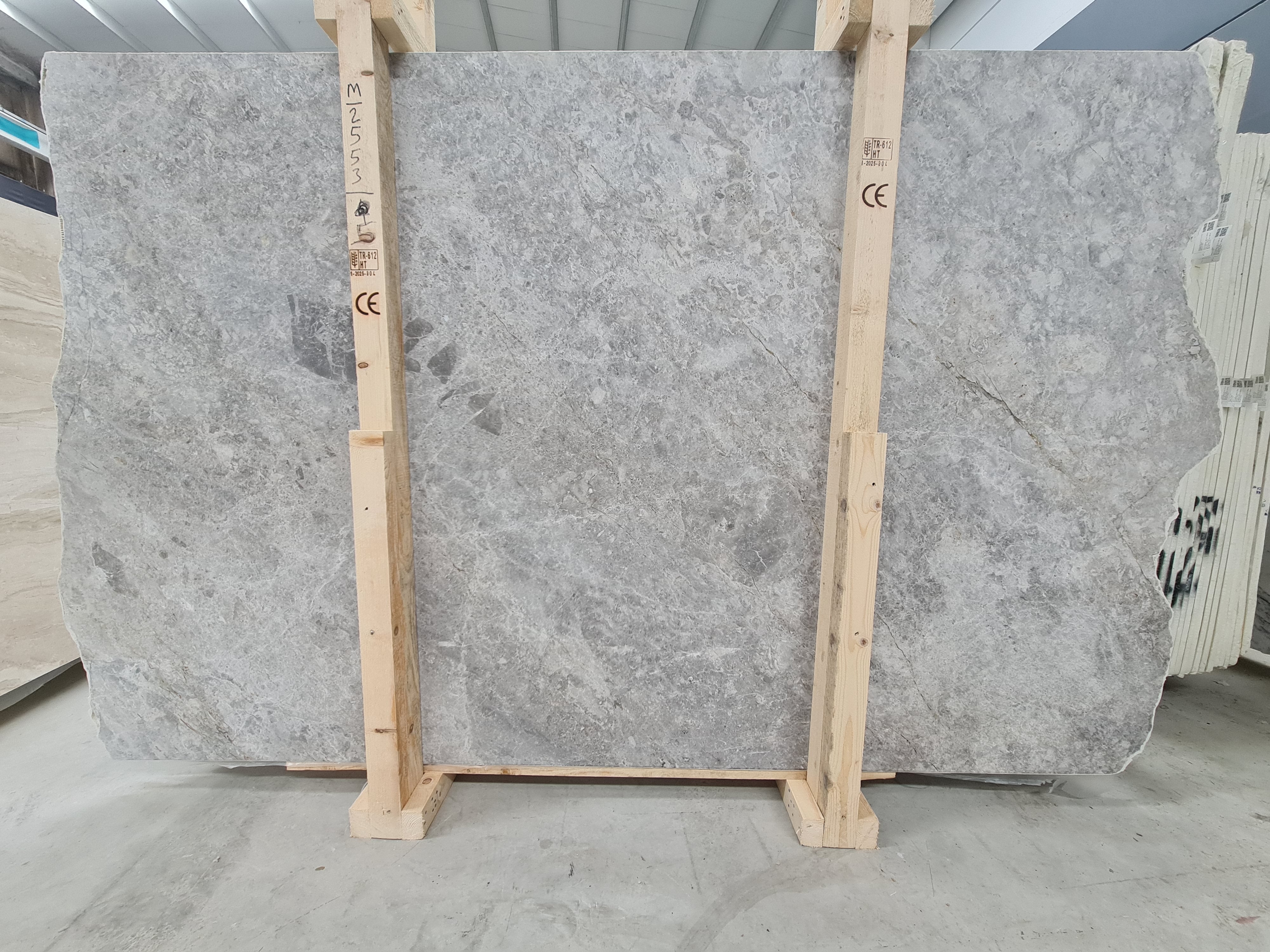 Tundra Grey Polished Slabs